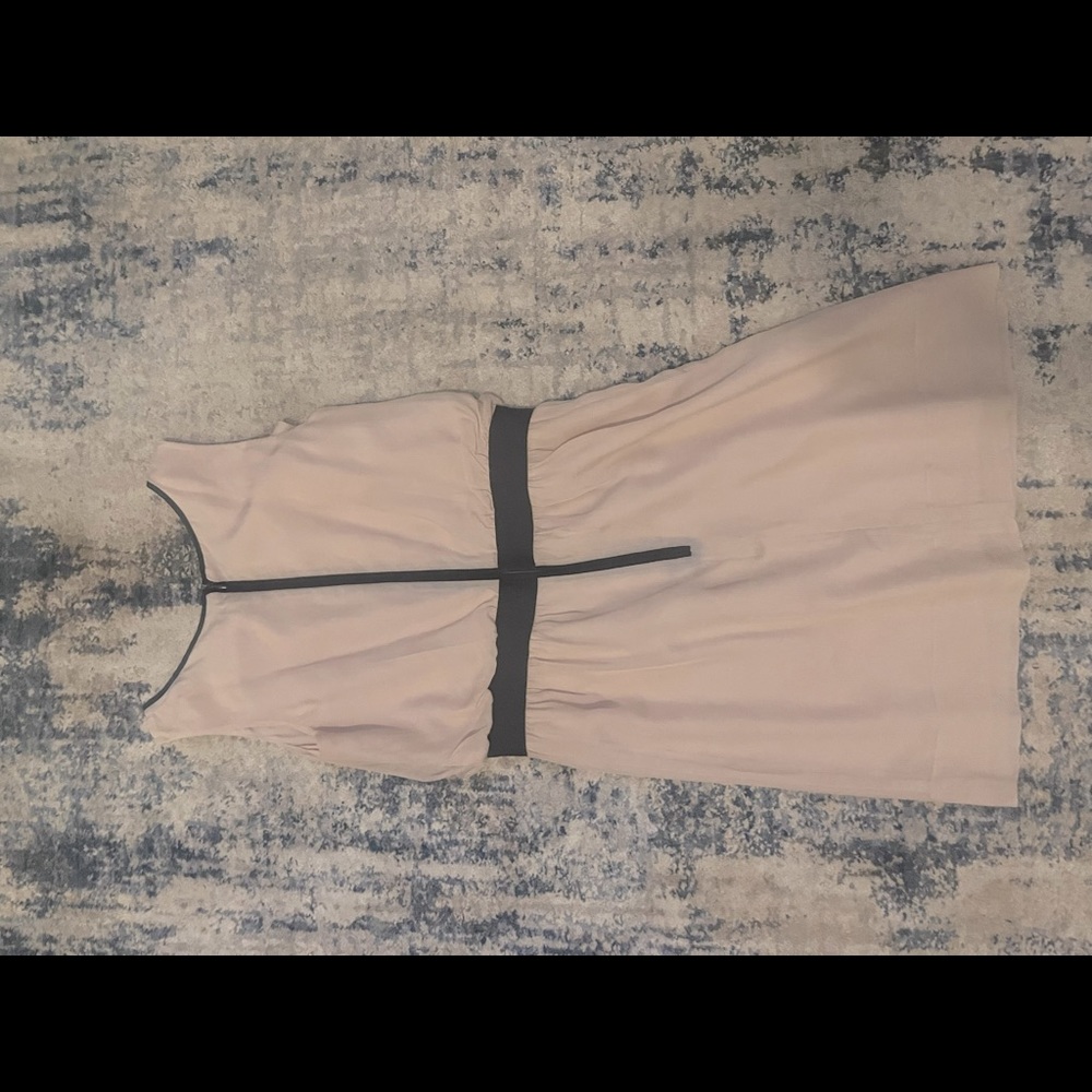 Anne Taylor Loft dress